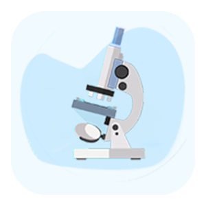 Biology Olympiad for Class 10 - School Connect Online